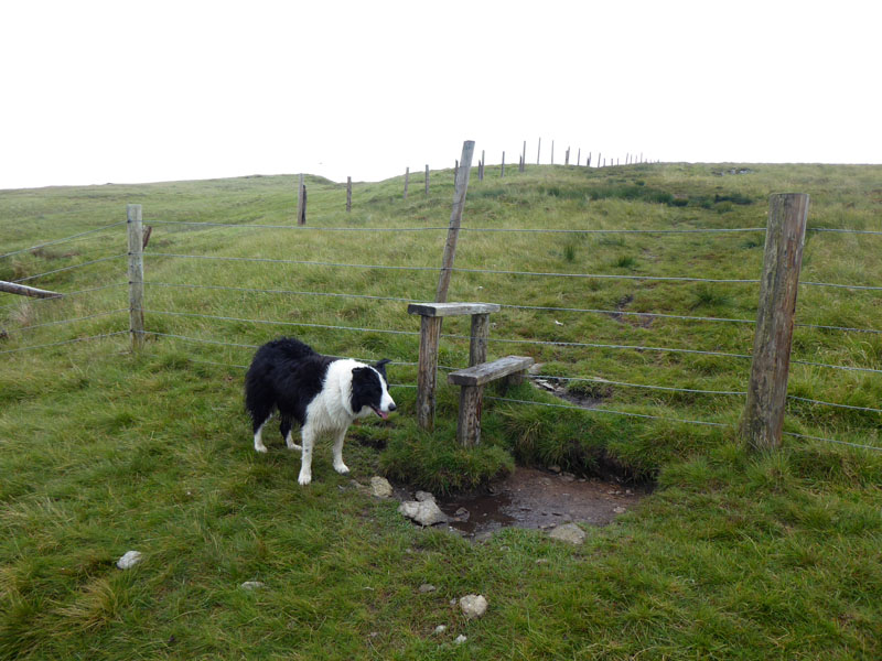 Molly Tarn Crag